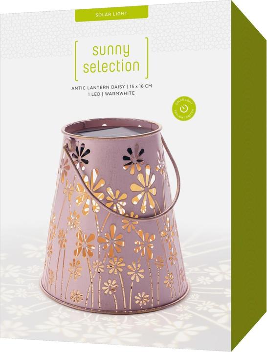 Actual product image STT Antic Daisy