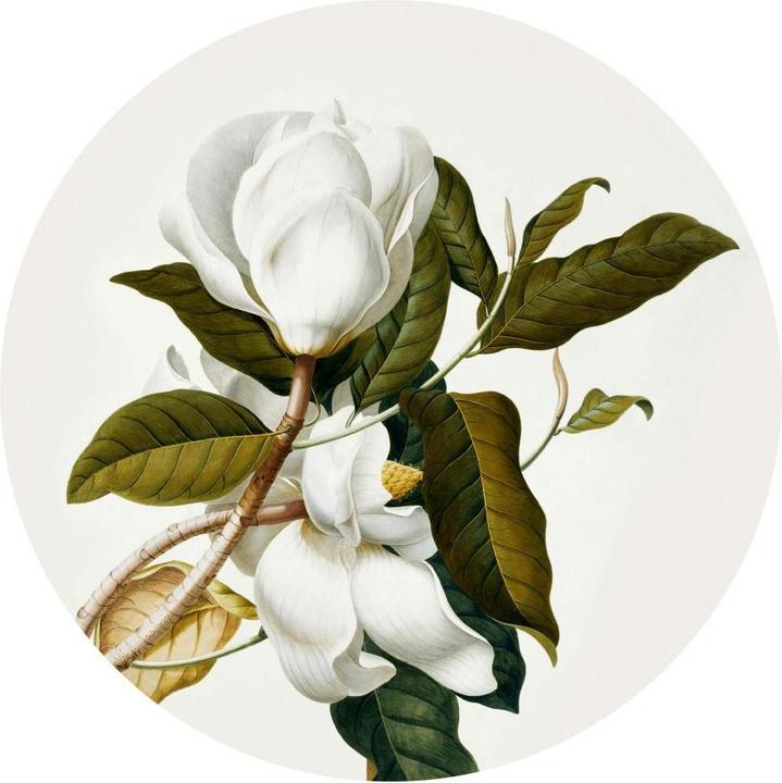 Produktbild Trenddeko Magnolie - rund (Ø 90 cm)