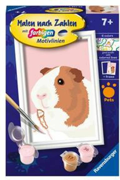 Immagine prodotto Ravensburger Dipingere con i numeri 23758 - Simpatico porcellino d'India - Bambini dai 7 anni in su