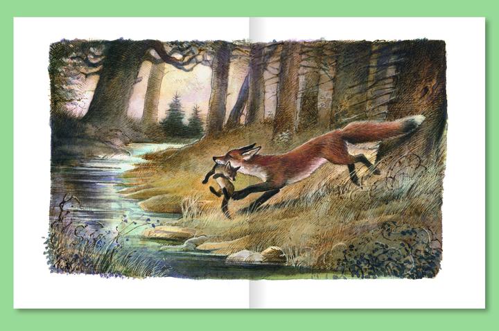 Immagine prodotto Der Findefuchs (Tedesco, Irina Korshunov, 2021)
