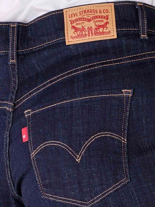 Produktbild Levis 10020231 (W24)