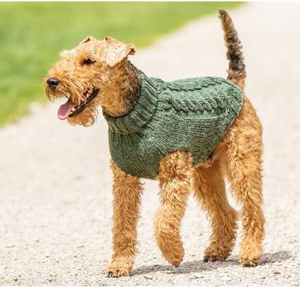 Image du produit Chiara Sweat Jade (25, XS, Pull-over pour chien)