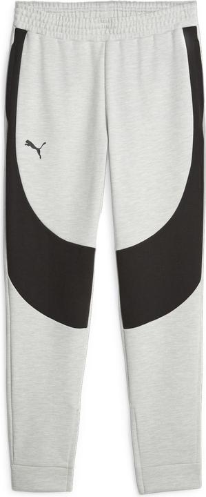 Puma Hoops Team Dime Pant (L)