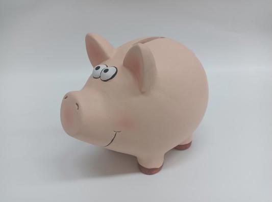 Image du produit Roost Caisse d'épargne Cochon (18,5 x 14,5 x 15,5 cm)