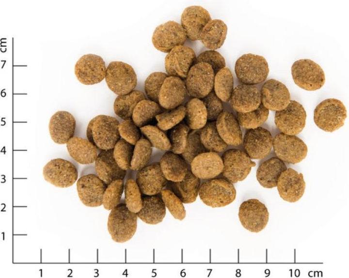 Produktbild Vegdog Green Crunch (Adult, 1 Stk., 5000 g)