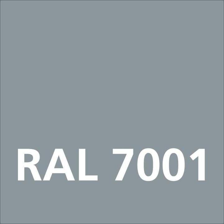 Actual product image Dupli-Color Glossy acrylic paint RAL 7001 silver grey (Silver grey, 0.40 l)