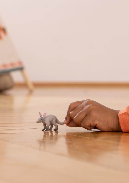 Actual product image Schleich Aardvark