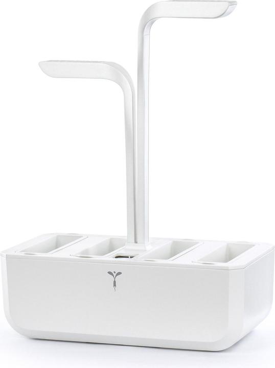 Véritable Classico (18.50 cm)