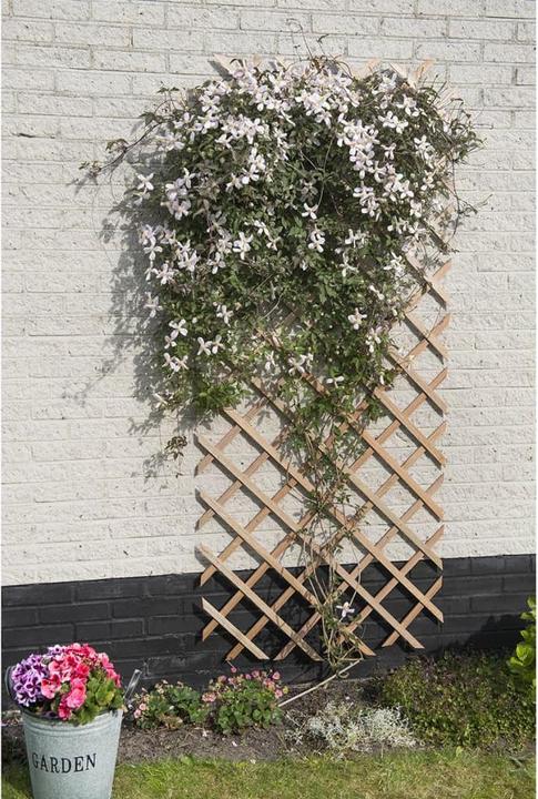 Produktbild Diverse Hardware Nature Garten-Rankgitter 50x150 cm Holz Natur (150 cm, 50 cm)