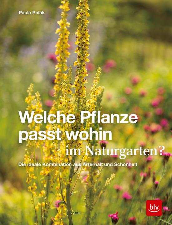 Immagine prodotto Welche Pflanze passt wohin im Naturgarten? (Tedesco, Paula Polak, 2020)