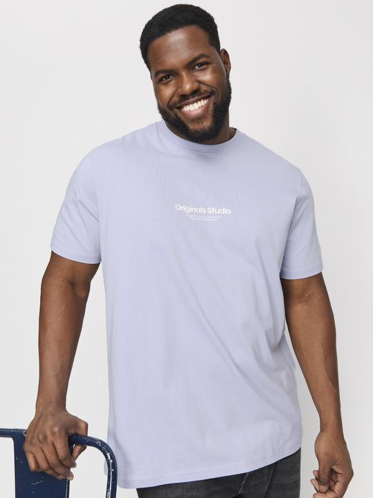 Produktbild Jack & Jones Jorvesterbro Tee Ss Crew Neck Noos Pls (7XL)