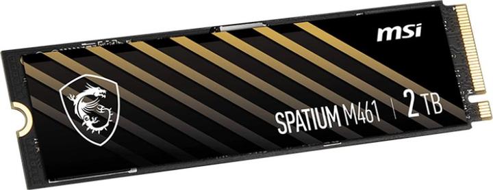 Actual product image MSI Spatium M461 (2000 GB, M.2 2280)
