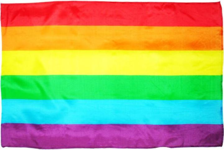 Produktbild Stolz - Lgbt Mittlere Flagge