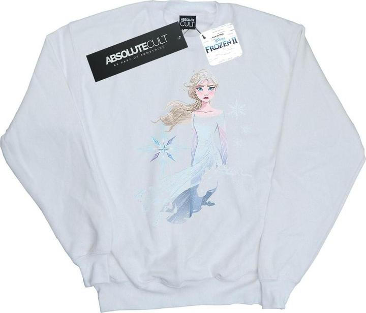 Immagine prodotto Disney Frozen 2 Elsa Nokk Silhouette Felpa Donna (S)