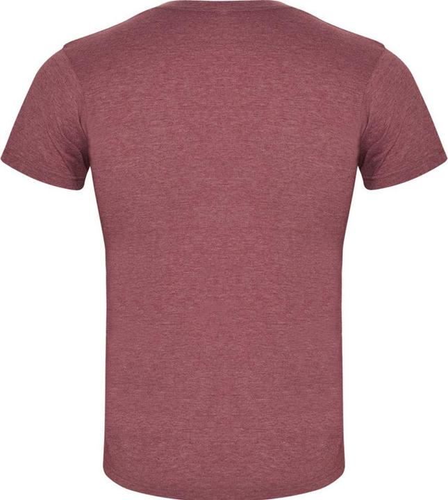 Actual product image Alpinia Mens Fox Heather Short-Sleeved T-Shirt (L)