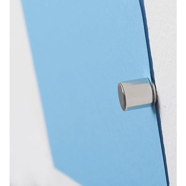 Actual product image Maul Neodymium holding magnet (20 x)