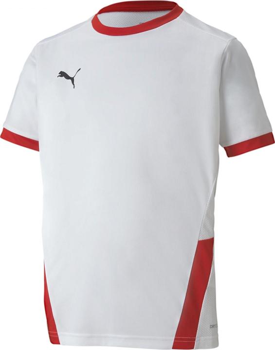 Actual product image Puma teamGOAL 23 Jersey jr-704160 (128)