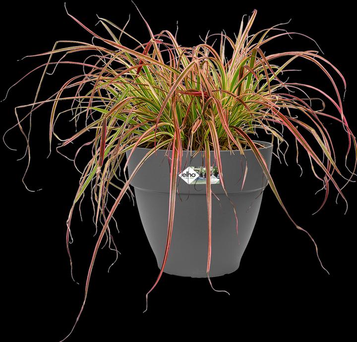 Actual product image Elho Pflanztopf Vibia Campana 55 cm anthrazit (54.50 cm)