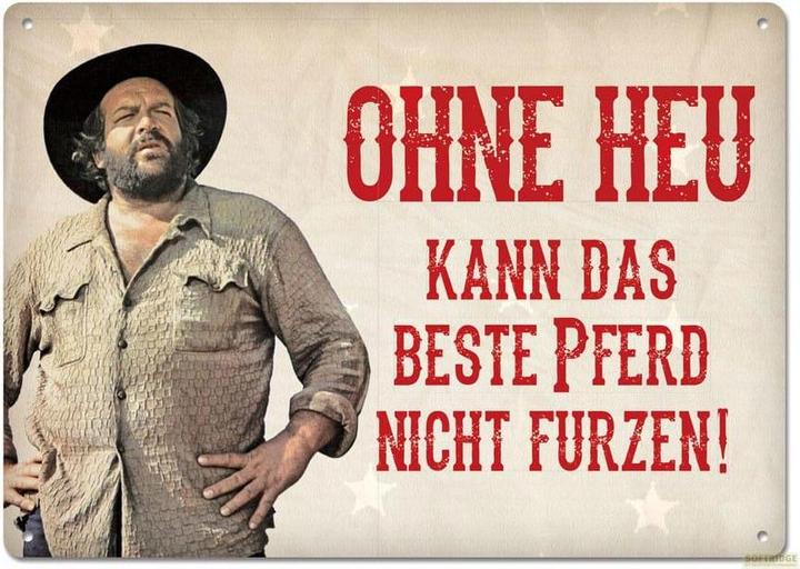 Blechschild Ohne Heu das beste Pferd (10.5 x 14.8 cm)