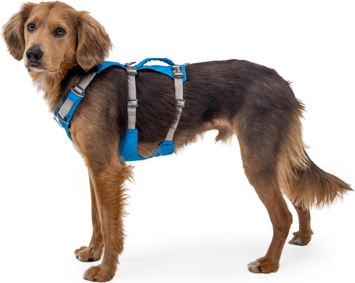 Actual product image Ruffwear Flagline dog harness (XS, Dog)