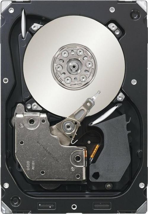 Actual product image Seagate Cheetah (0.30 TB, 3.5", CMR)