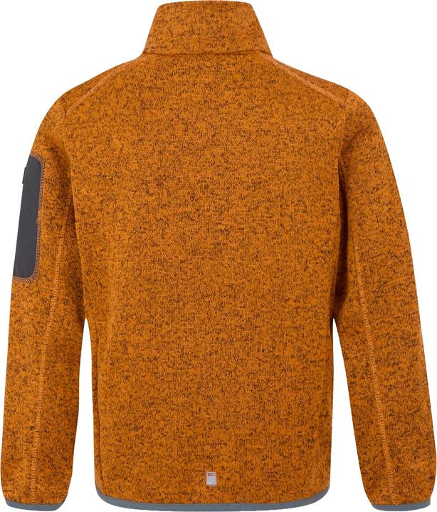 Image du produit Regatta - Veste polaire NEWHILL - Enfant (164)