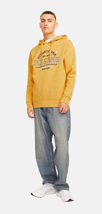 Actual product image Jack & Jones JJELOGO SWEAT HOOD 2 COL 24/25 NOOS (XXL)