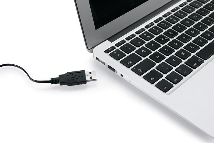 Actual product image Hansa Snake (100 lm)