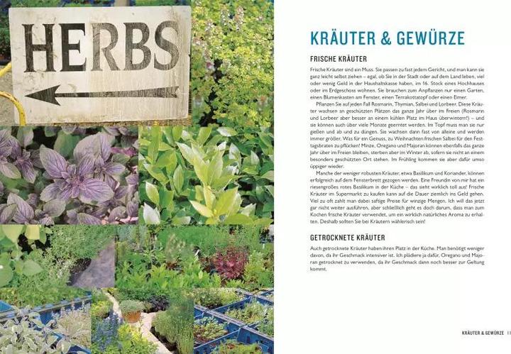 Actual product image Kochen mit Jamie Oliver (German, Jamie Oliver, DK Publishing House, 2019)