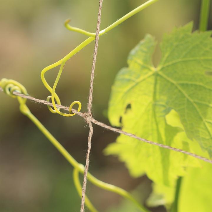 Actual product image Relaxdays Trellis net (10 cm, 5 cm)