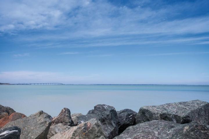 Immagine prodotto Cokin Z123 Filtro graduato blu 2 (Filtri di colore)