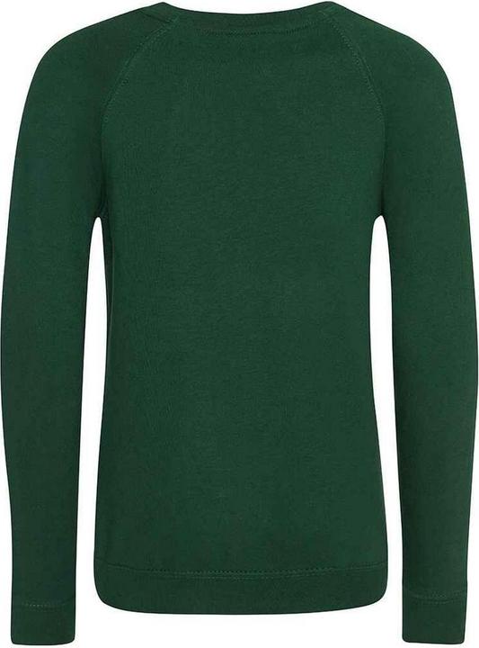 Actual product image Awdis Childrens/Kids Academy Raglan Sweatshirt (146, 152)