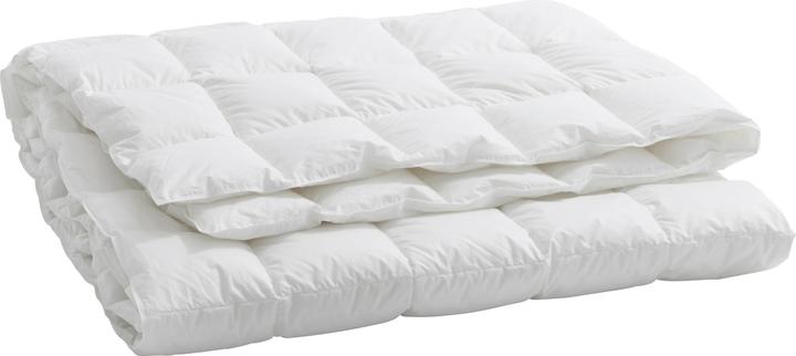 Image du produit Billerbeck Lugano 100 (330 g, 160 x 240 cm)