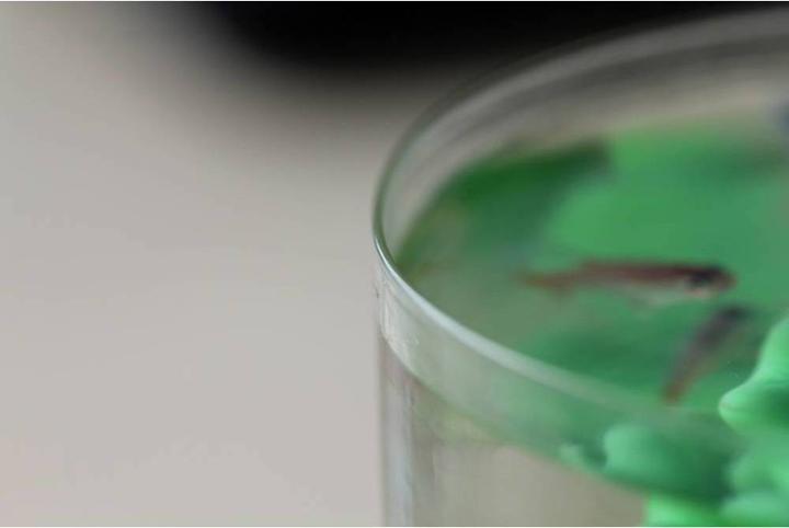 Produktbild Polymaker PJ01011 PolySmooth Filament polierbar 1.75 mm 750 g Transparent 1 St (PVB, 1.75 mm, 750 g, Transparent)