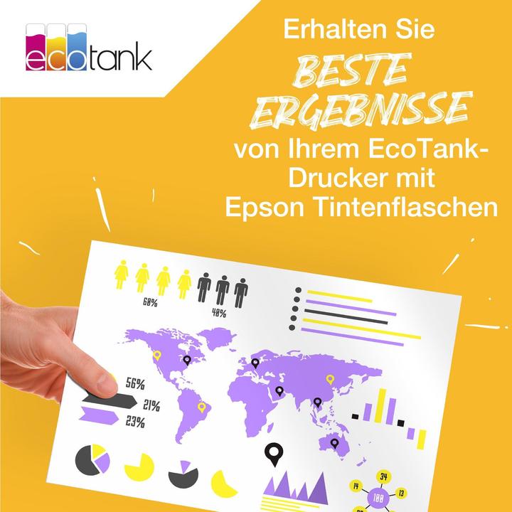 Produktbild Epson 113 (BK)