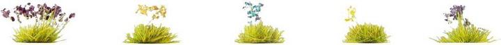 Image du produit Noch Fleurs 250 pièces