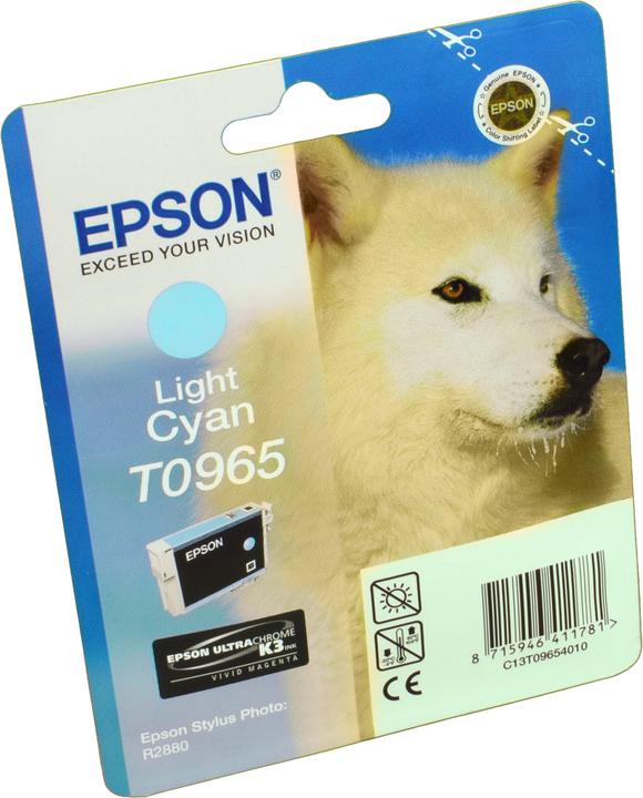 Produktbild Epson T0965 (LC)