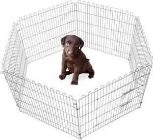 Image du produit Karlie Course de chiots