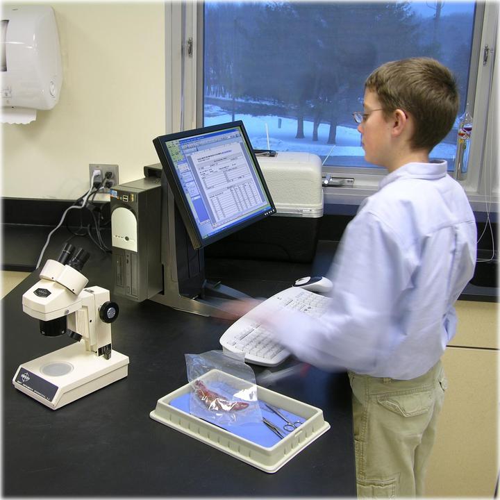 Actual product image Ergotron Neo-Flex monitor stand with patented CF technology (Table, 24")