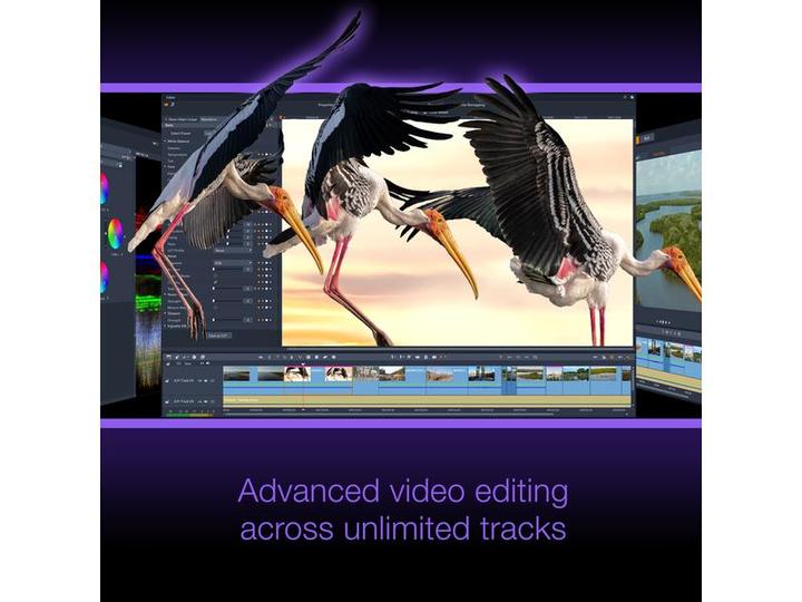 Actual product image Corel Studio 26 Ultimate - Box Pack (1 User, unlimited)