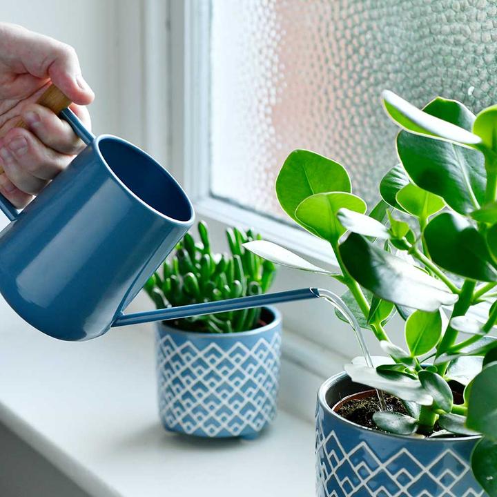 Actual product image Burgon & Ball Watering can (0.70 l)