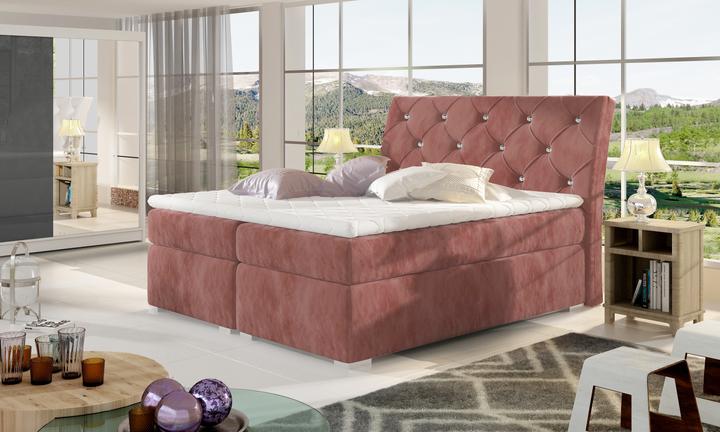 Pink Kronos 29