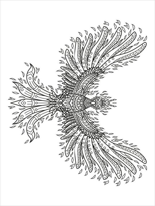 Image du produit Mon livre de coloriage d'animaux Mandala - Animaux magiques