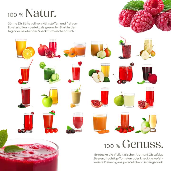 Image du produit tectake Extracteur de jus FRUFI en acier inoxydable à 2 vitesses, 600W