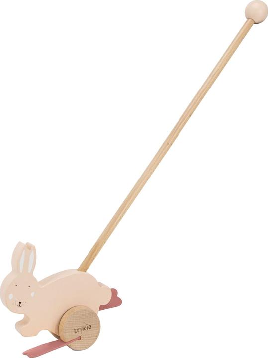 Image du produit Trixie Baby Animal en bois à pousser Lapin