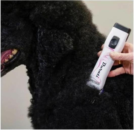 Immagine prodotto Aesculap Tagliacapelli a batteria Durati (Cane)