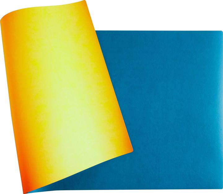Actual product image Exacompta BEEBLUE - Desk pad (40 x 80 cm)