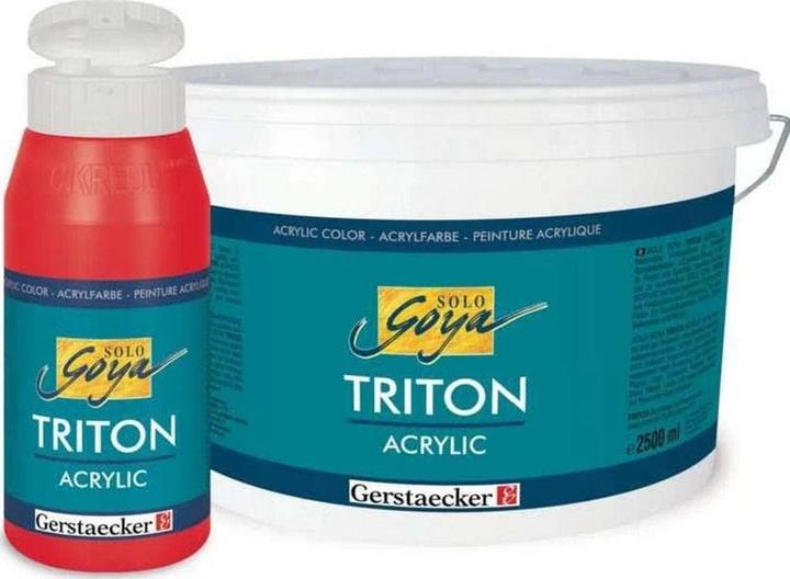 Image du produit Solo Goya Acrylique Triton (Argent, 750 ml)