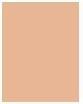 Produktbild Clarins Skin Illusion SPF15 Nr. 107 - Beige (107 Beige)