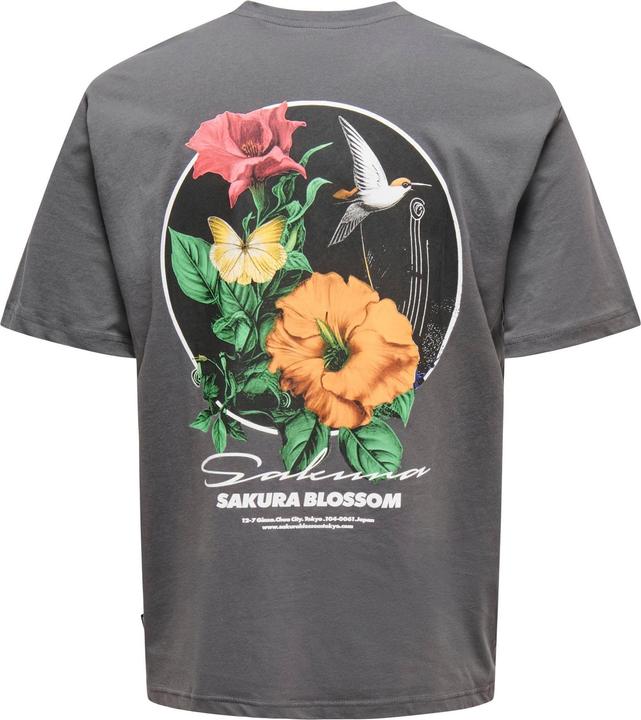 Produktbild Only & Sons Onskeane Rlx Ss Print Tee Noos (M)